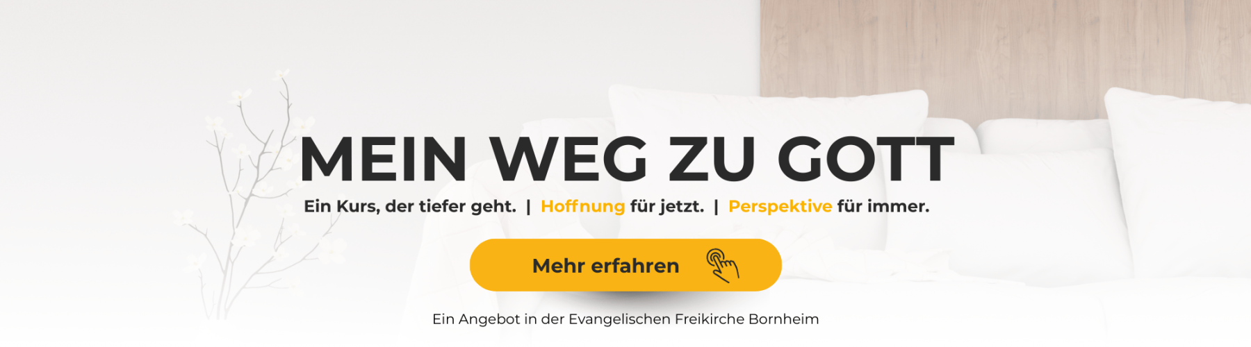 Glaubenskurse & Lebenszeugnisse